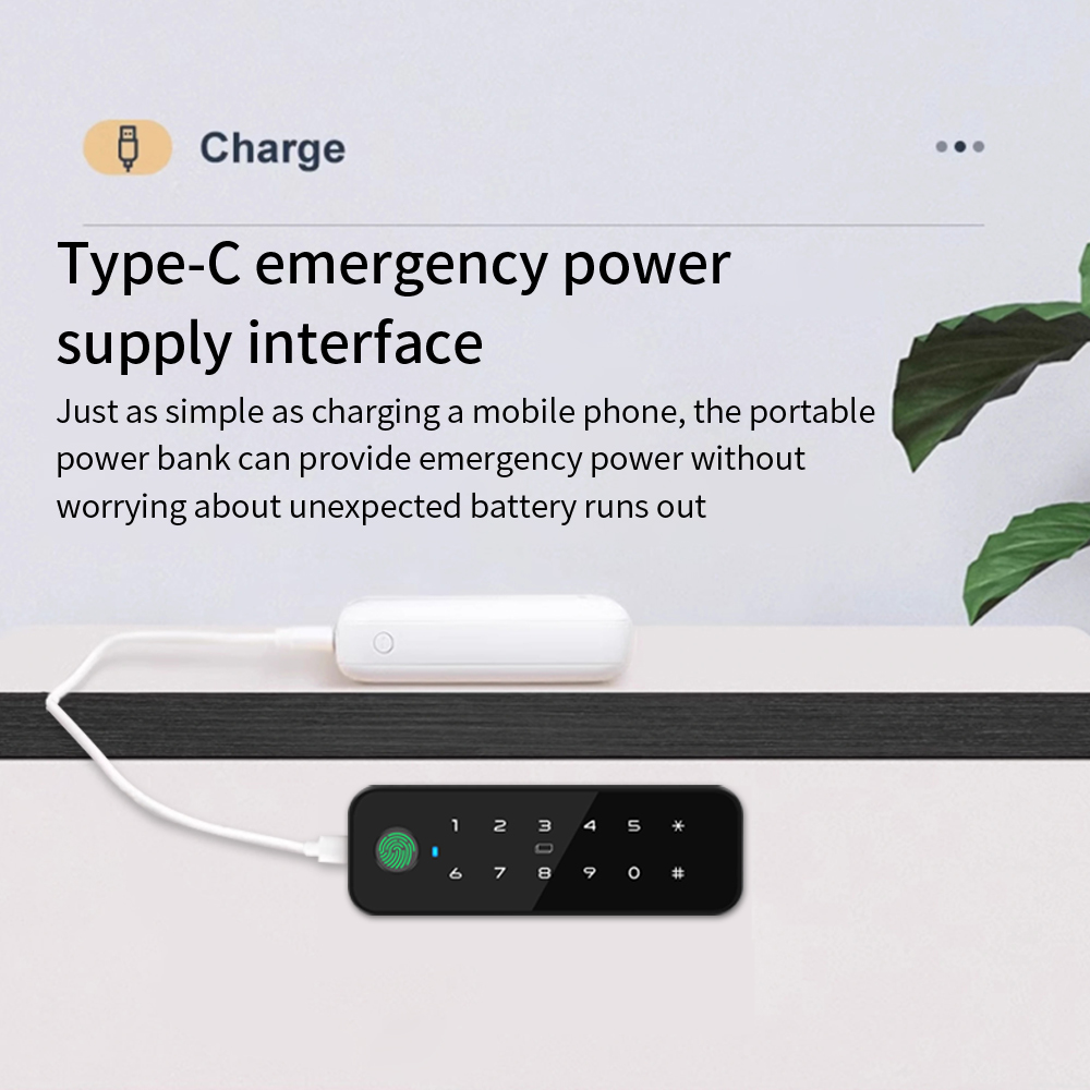 Tuya Bluetooth Smart Wood Cabi - Furniture Hardware Tools incelemesi ve fiyatı